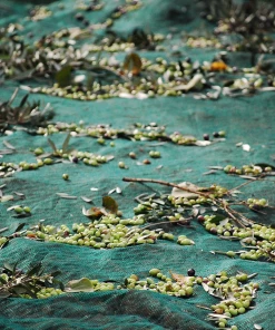 Honest Toil Extra Virgin Olive Oil 500ml Ingredients