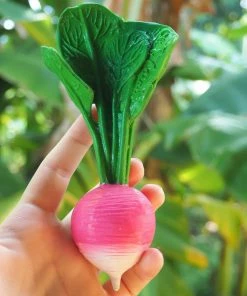 Oli & Carol Gifts Ramona The Radish Teething Toy
