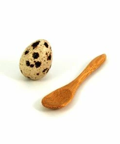 First Pack Tableware Stylish Wooden Canape Spoon 50 X 9cm