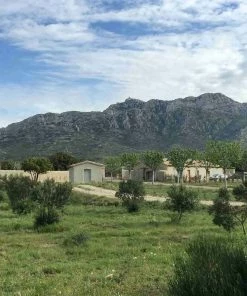 Grand Brahis AOP Vallee Des Baux De Provence Extra Virgin Olive Oil Duo 250ml X 2